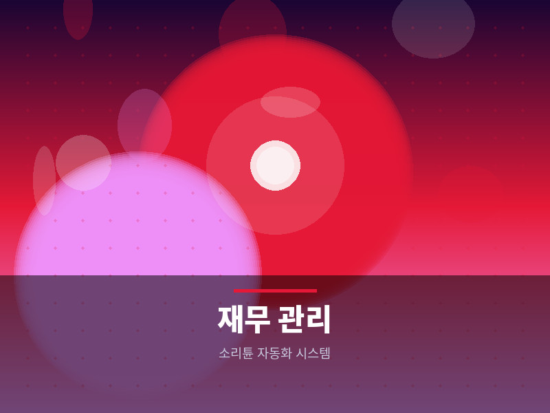 재무/운영 관리 자동화